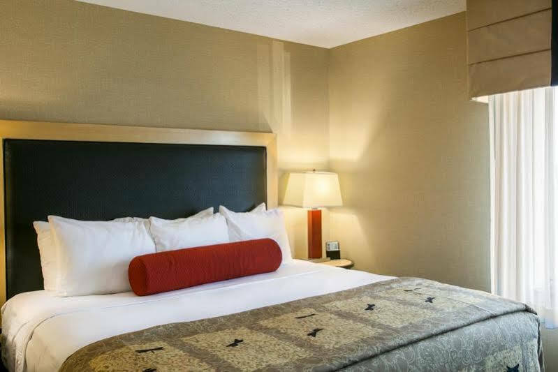 Springhill Suites By Marriott Indianapolis Airport/Plainfield Eksteriør billede